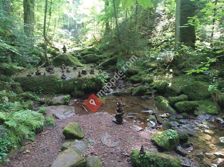 Natur und Erlebnis - tiergestützte Intervention