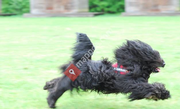 Nature dog Futteroase Silke Lingnau