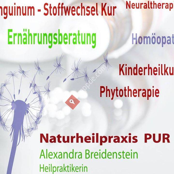 Naturheilpraxis Pur