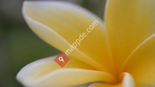 Naturkosmetik und Massage Carmen Kröner