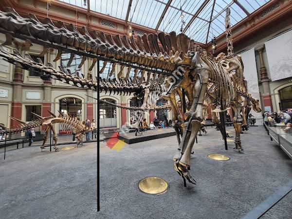 Naturkundemuseum