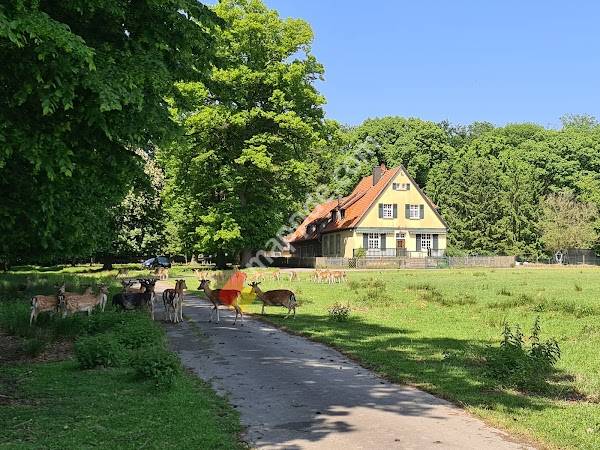 Naturwildpark Dülmen