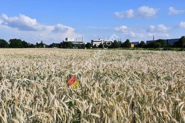 Neuss Stüttgen