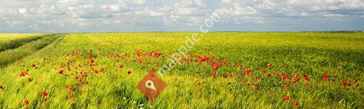 o-tx.com - organic trade exchange