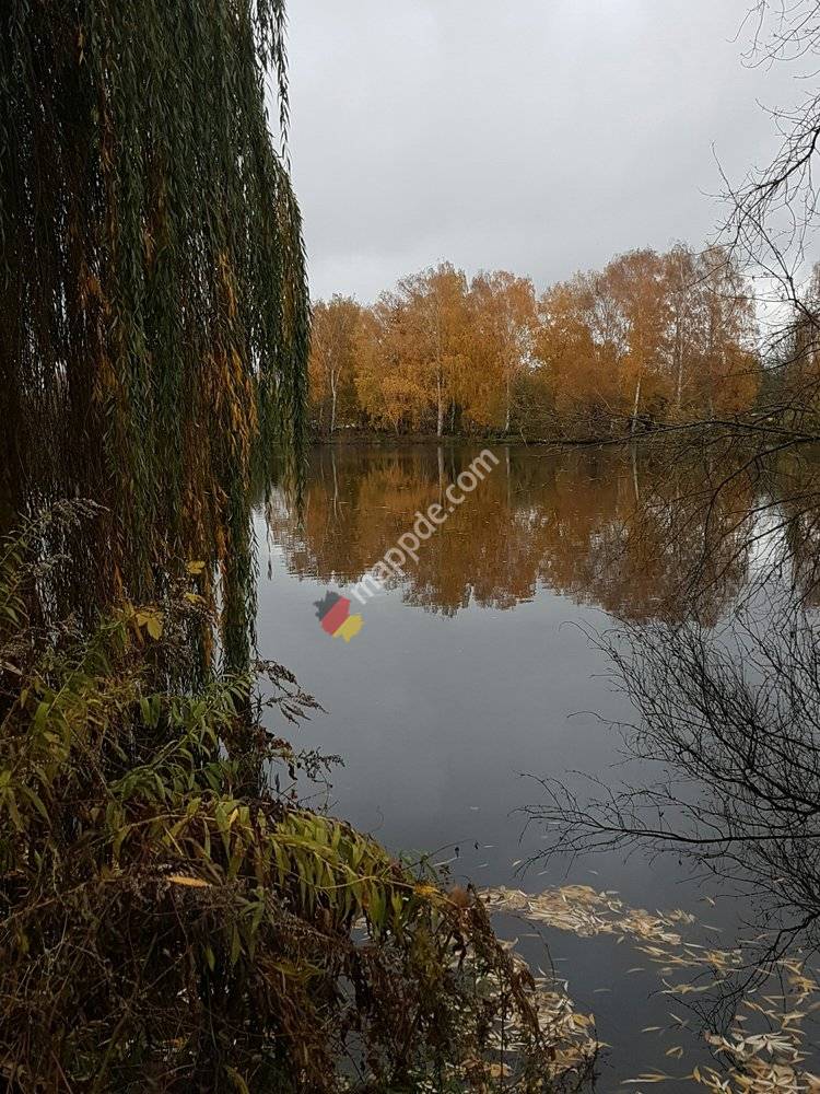 Pankower Karpfenteiche
