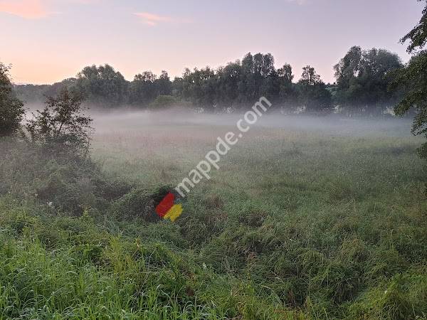 Parkplatz, RuheForst