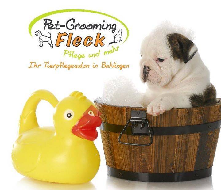 Pet-Grooming Fleck
