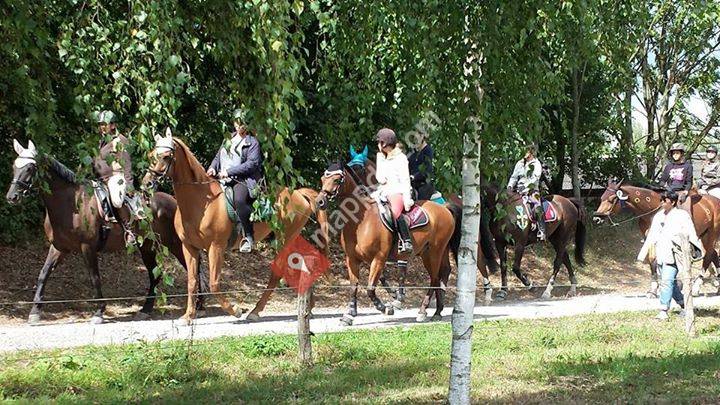 Pferdefreunde Malsch e.V.