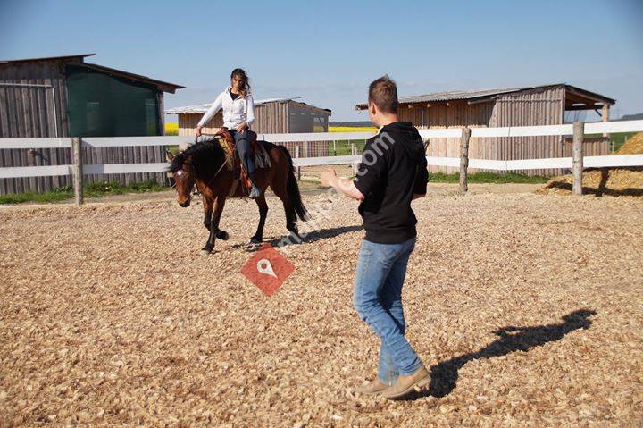 Pferdetraining Johannes Schmitt