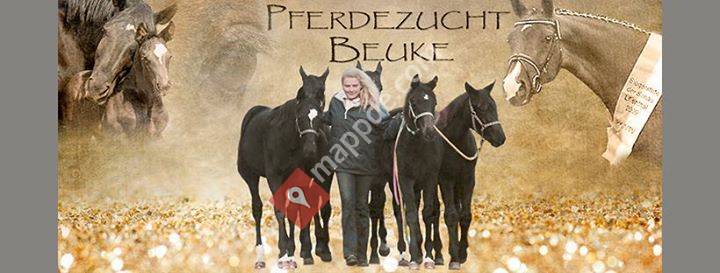 Pferdezucht Beuke
