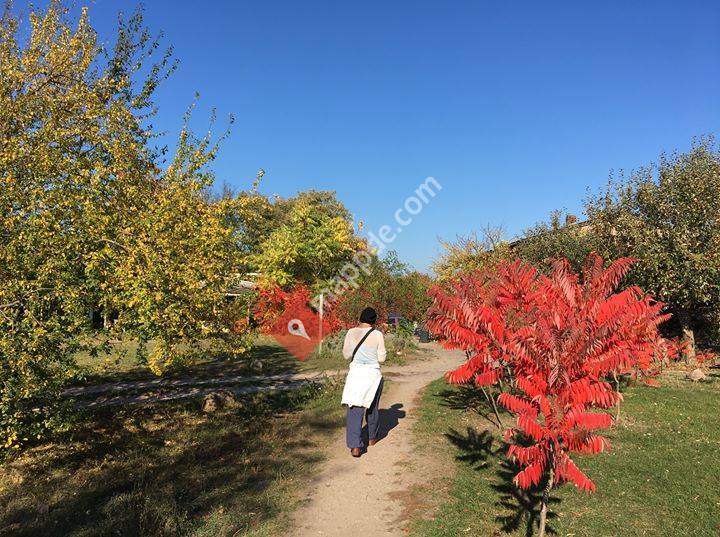 Ponderosa Stolzenhagen