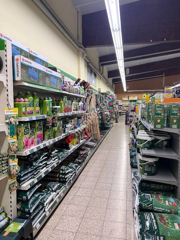 Raiffeisen Maria-Veen Lette eG Betriebsstelle Lette