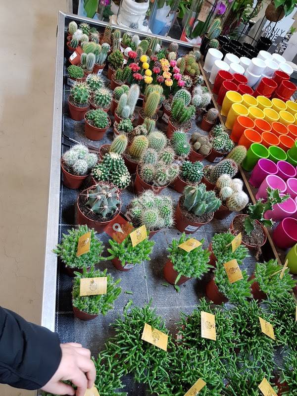 real,- SB-Warenhaus GmbH