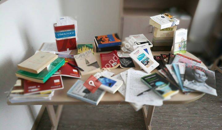 Recinti - Guida alla lettura critica