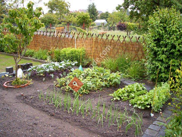 Regionalverband Mittlere Elbe und Umgebung der Gartenfreunde e.V.