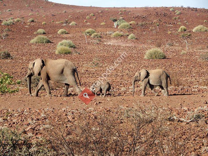 Reiseberatung Andrea Daum