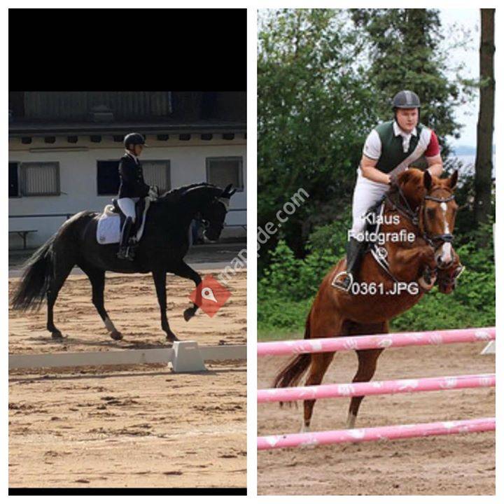 Reitausbildung Ralf Bergerforth