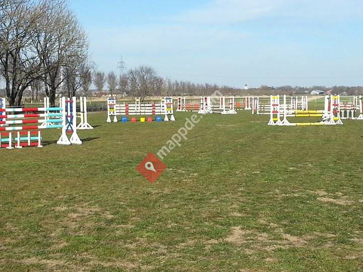 Reitstall Gordon Paulsen