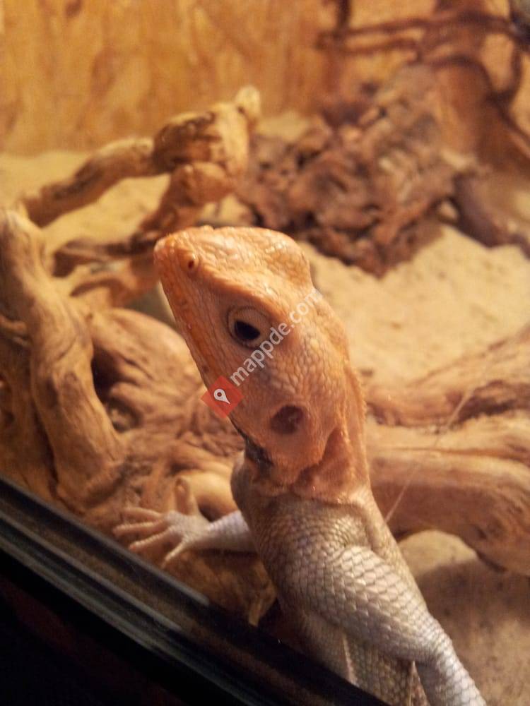 Reptilienaustellung in Bergen