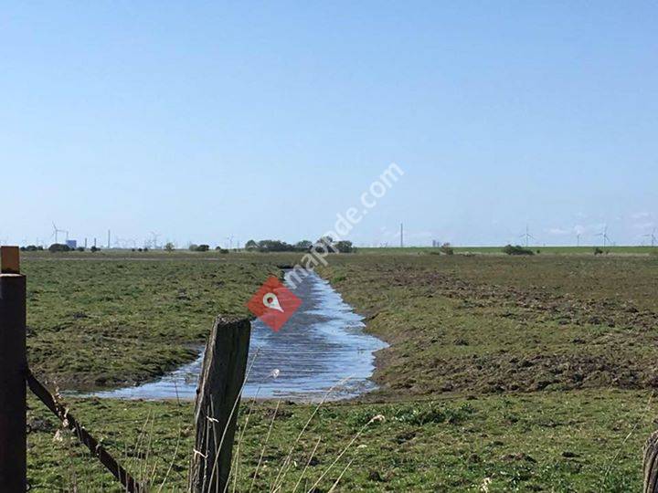Rettungshundestaffel Niederelbe e.V.