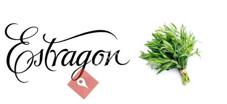 Ristorante Estragon - Cucina italiana