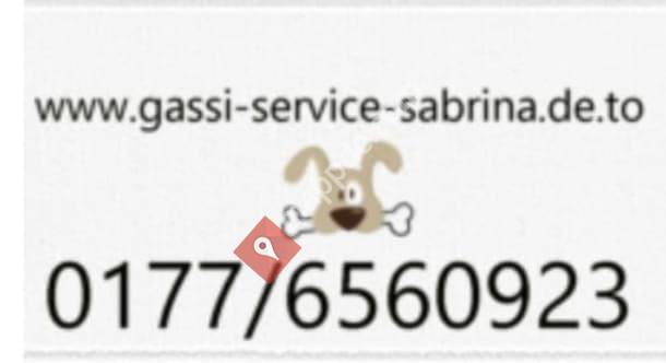 Sabrina - Hundetrainerin/ Gassiservice - Pinneberg