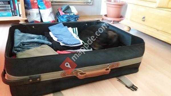 Salzlandtheater Theater