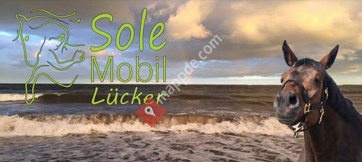 Sauerstoff- und SoleMobil für Pferde