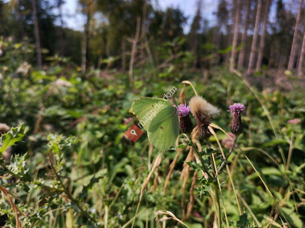 Schloß und Schloßpark
