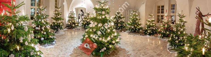 Schloss und Festung Senftenberg