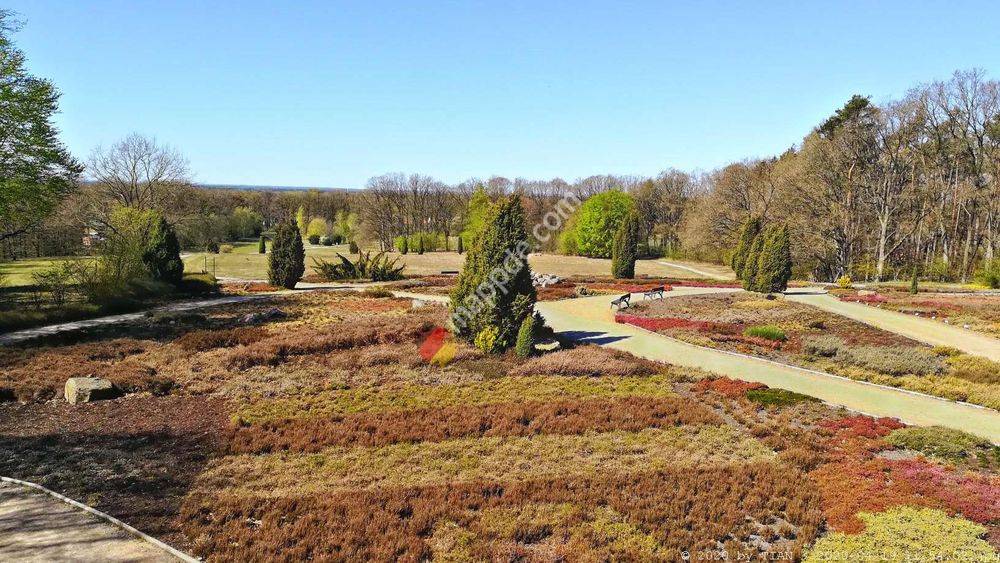 Schneverdinger Heidegarten und Arboretum im Höpen