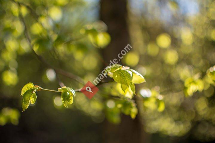 Schreinerei Brendli & Leibhard GbR