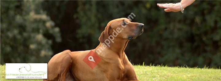 Schwarzwaldhunde - Elisabeth Breitenkamp