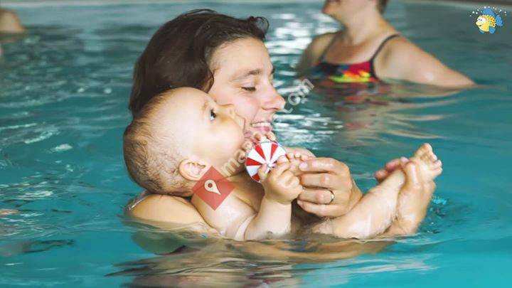 Schwimmschule Kugelfisch Potsdam Babelsberg