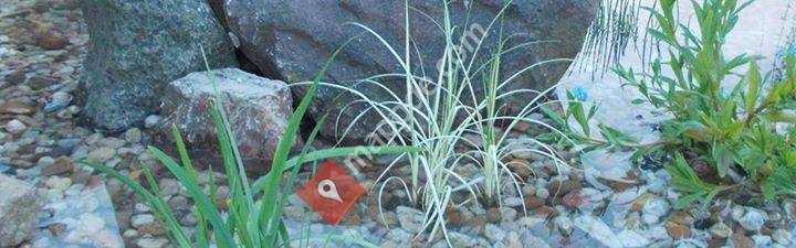 Seeburger Wassergarten