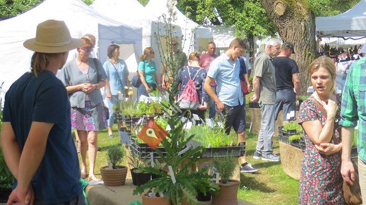 Selekt Veranstaltungen