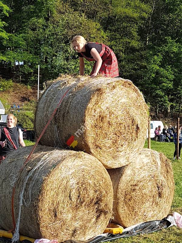 Sportverein Eintracht Kleusheim e.V.