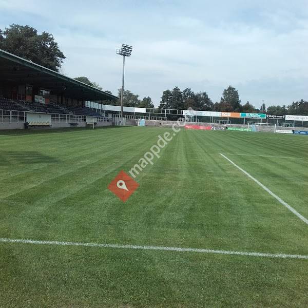 SpVgg SV Weiden e.V.