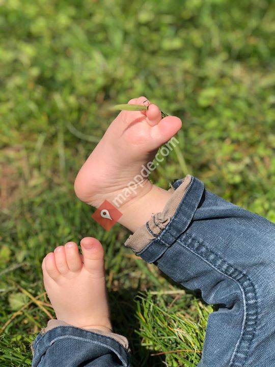 Tagesmutter in Kollnau