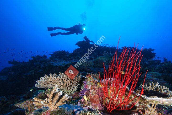 Tauchsportcenter Esslingen