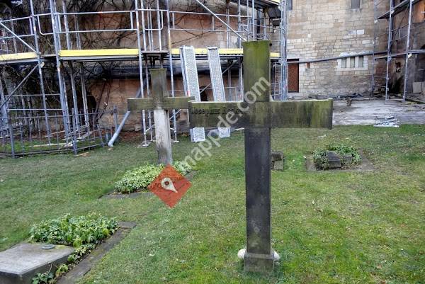 'Tausendjähriger Rosenstock'