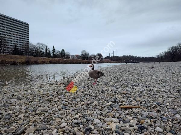 Thalkirchen (Tierpark)