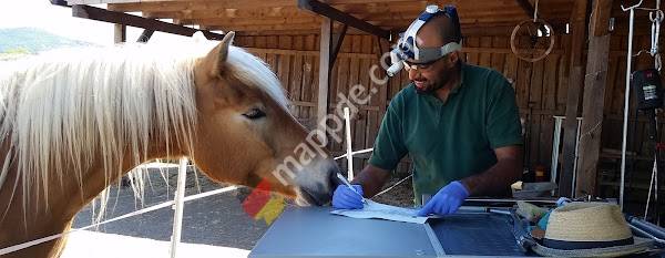 Tierarztpraxis Dr. Abdelah Kharfa - VetChiroDent