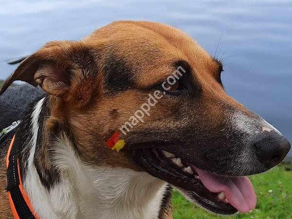 Tierarztpraxis Dr. Marina Lakemeyer-Behling