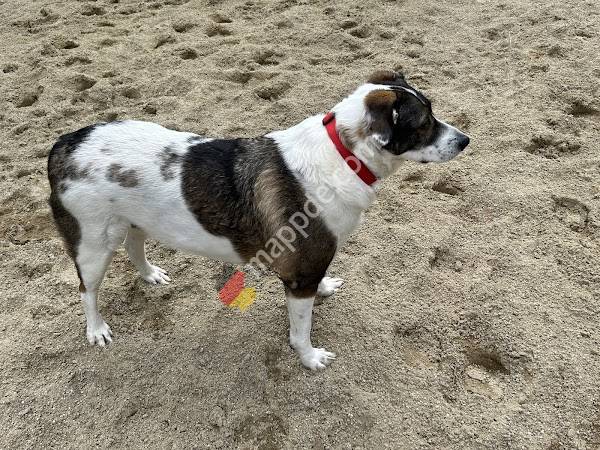 Tierklinik Schierling