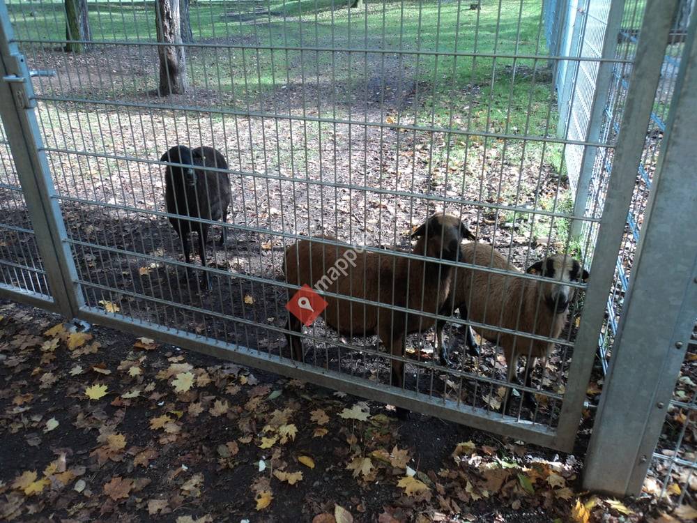 Tierpark Im Stadtpark