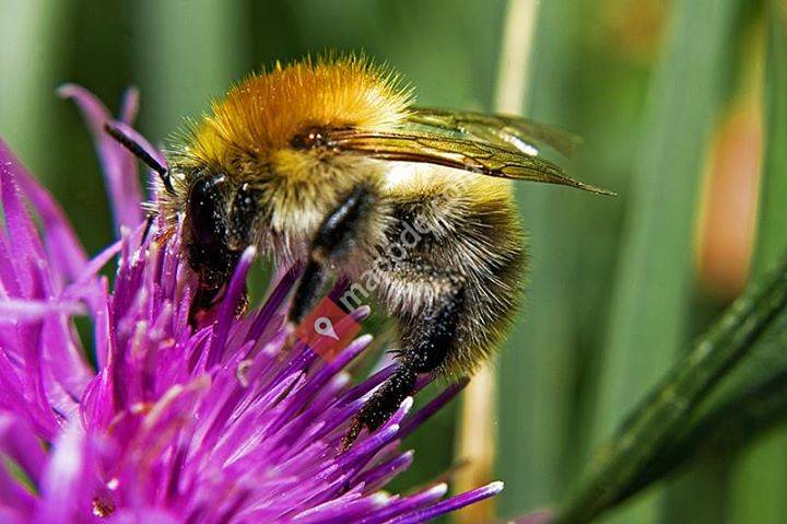 Umweltzentrum Neckar-Fils