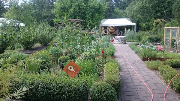 Vereinsgarten OGV Weiden