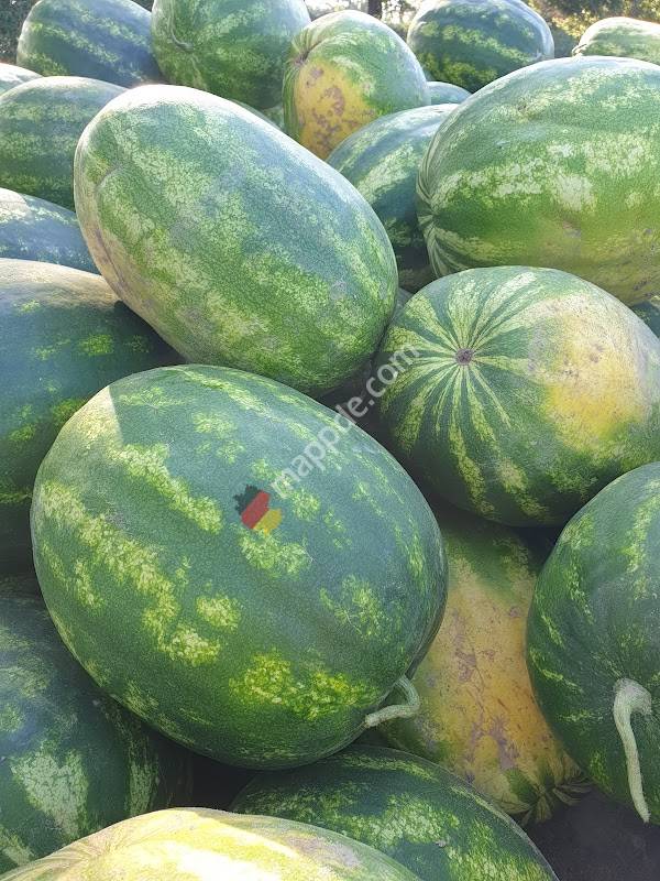 VERKAUF MELONEN AUS VELTEN