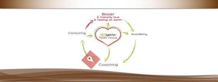 VETogether Die Therapeuten Academy